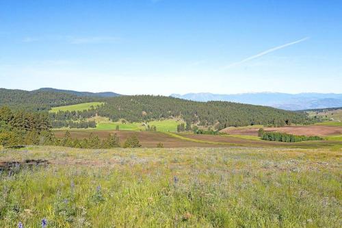 a field of grass with mountains in the background at Eagle's Roost Cabin - Eden Valley in Oroville
