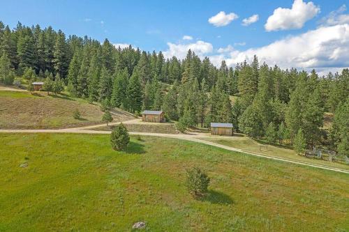 an aerial view of a grassy field with trees at Eagle's Roost Cabin - Eden Valley in Oroville