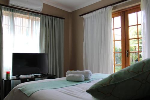 a bedroom with a bed with a television and a window at Salveo Self-Catering Accommodation in Kimberley