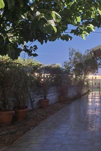 a walkway with potted trees and a wall at 12 senses faliraki sea view in Faliraki