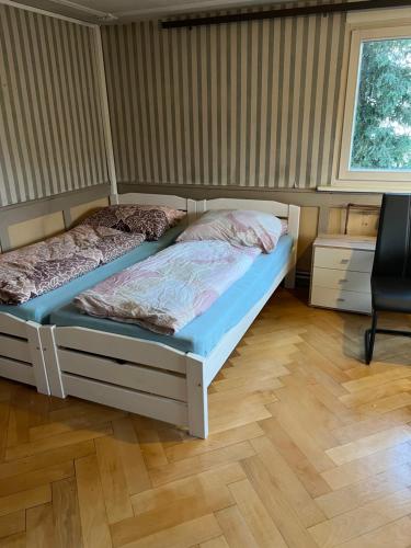 Orkhan Latifov – Photos 3