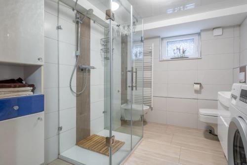 a bathroom with a shower and a toilet at Nice Private Apartment in Hannover