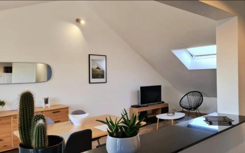 Sala de estar con mesa y cactus en Superbe appartement proche CV en Bourges