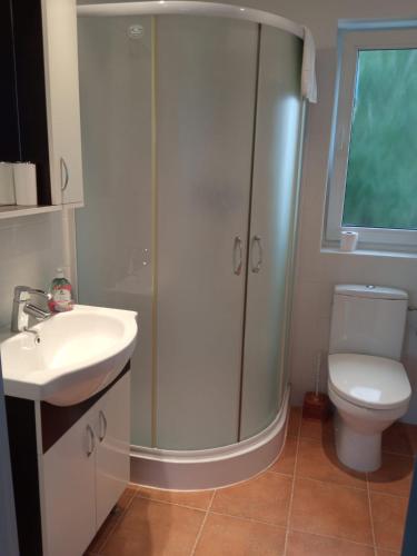 a bathroom with a shower and a sink and a toilet at Apartament lângă Catedrală in Câmpulung Moldovenesc