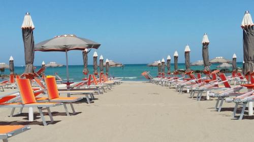 a row of chairs and umbrellas on a beach at Hotel Bristol - a 30 mt dalla spiaggia in Misano Adriatico