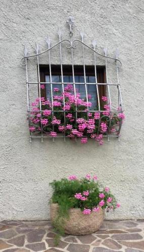 a window with pink flowers in a pot on a building at Casa Gianmoena in Cavalese