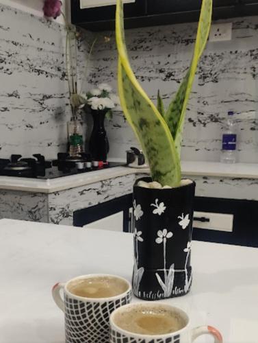 a black vase with a plant in it next to two cups at CLIFF HEAVEN in Varkala