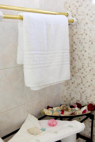 a towel hanging on a towel rack in a bathroom at Palm Square Appart in Ialyssos