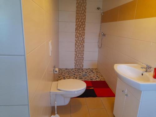 een kleine badkamer met een toilet en een wastafel bij Ferienwohnung Toskana Traum in Schönburg