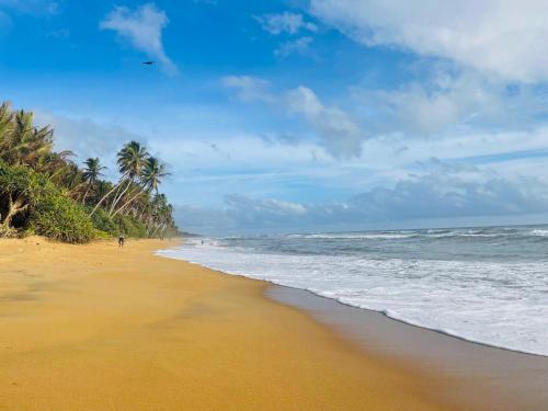 a sandy beach with palm trees and the ocean at Little Villa Hotel in Wadduwa