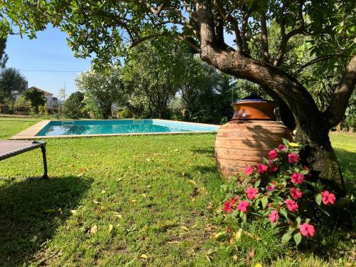 a large pot sitting next to a tree next to a pool at Casa do Cruzeiro do Outeiro -comfort and tradition in Ponte de Lima