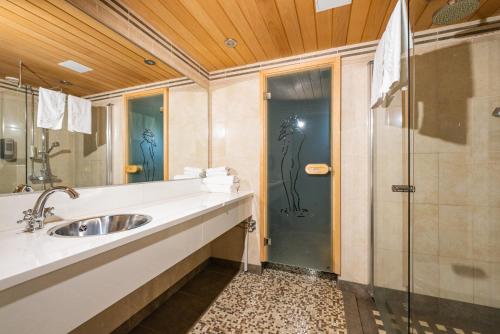 a bathroom with a sink and a shower at Finlandia Hotel Aquarius in Uusikaupunki