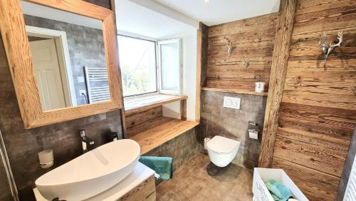 a bathroom with wooden walls and a sink and a toilet at Allegra Appenzell in Trogen