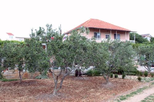 Fotografie z fotogalerie ubytování Apartments with a parking space Pirovac, Sibenik - 6278 v destinaci Pirovac