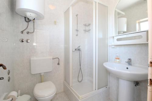 a bathroom with a toilet and a shower and a sink at Apartments and rooms with parking space Mandre, Pag - 6309 in Kolan