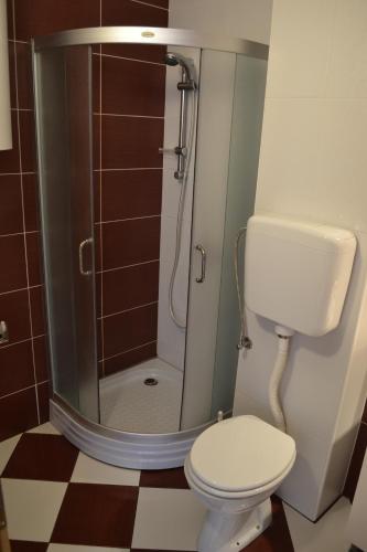 a small bathroom with a toilet and a shower at Apartments by the sea Kustici, Pag - 6408 in Zubovići