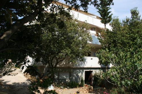 Fotografie z fotogalerie ubytování Apartments by the sea Mandre, Pag - 6374 v destinaci Kolan