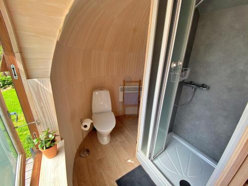 a small bathroom with a toilet and a shower at Finest Retreats - Prosecco Cabin in East Looe