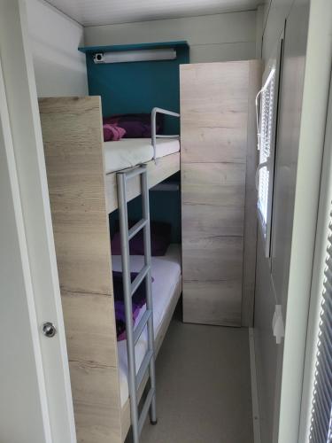 a small room with two bunk beds and a ladder at Kamp Katra Mobilna hiška ECO in Vinica