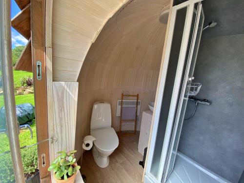 a bathroom with a toilet inside of a house at Finest Retreats - The Pasty Cabin in East Looe