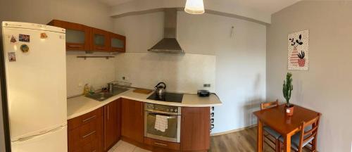a kitchen with a sink and a refrigerator at Murano Apartaments Nova Praga in Warsaw