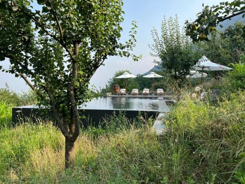 Jardín al aire libre en Qayaam Gah