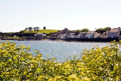 a body of water with houses and yellow flowers at Fishermans Cottage in Killough