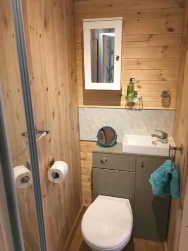 a small bathroom with a toilet and a sink at Stunning railway carriage with private hot tub in Hereford