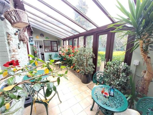 a conservatory with a table and chairs and plants at Wyburn House in Great Torrington