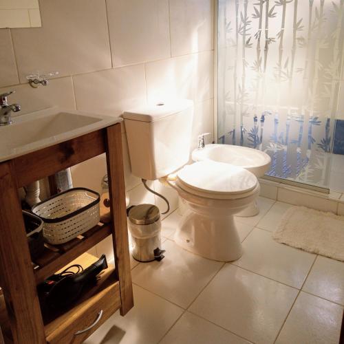 uma casa de banho com um WC, um lavatório e um chuveiro em Vina em Villa Elisa
