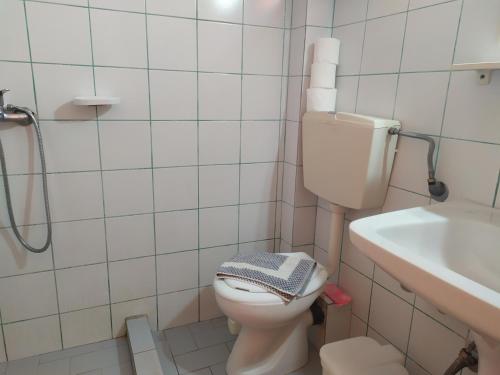 a bathroom with a toilet and a sink at Studios Thanasis in Limenaria