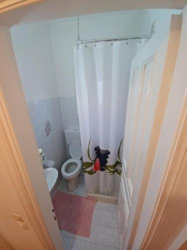 a bathroom with a toilet and a shower curtain at Demy's Studio in Acharavi