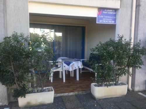 eine Terrasse mit einem Tisch und Bäumen in Töpfen in der Unterkunft Les Naïades in Balaruc-les-Bains