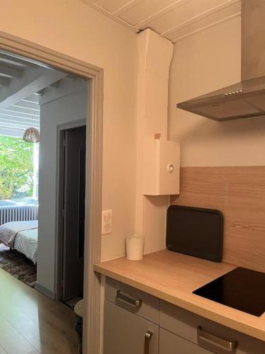 une cuisine avec un évier et un plan de travail dans l'établissement Salins-les Bains : A l'ombre de La Tour Carrée, à Salins-les-Bains