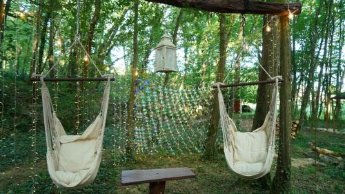 zwei Hängematten, die von einem Baum im Wald hängen in der Unterkunft Ô Pays Des Bois - Hébergements insolites en pleine nature in Parmilieu