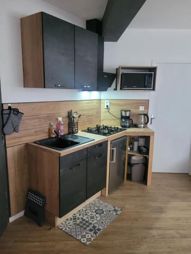 a small kitchen with a sink and a stove at Au Grand Chêne Jolie T3 à 5 min d'Albi in Puygouzon-et-Montsalvy