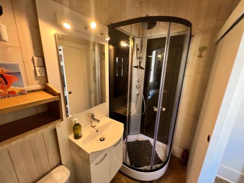 uma casa de banho com um chuveiro e um lavatório. em Location à Trouville sur mer em Trouville-sur-Mer