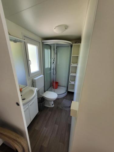 a bathroom with a toilet and a sink at kamp katra mobilna hiška EXCLUSIVE in Vinica