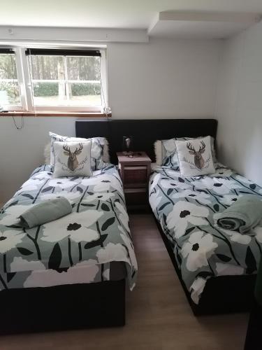 een slaapkamer met 2 bedden naast elkaar bij Les studios du Domaine d'Eva in Libramont