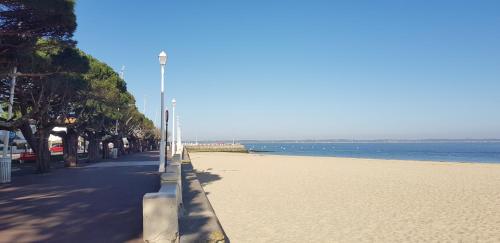 une plage avec des arbres et l'océan par beau temps dans l'établissement Appartement cosy au cœur de la ville d’été, à Arcachon