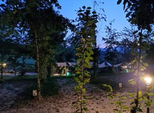 a view of a forest at night at Saecula Natural Village Experience in Force