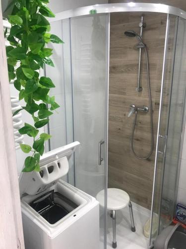 baño con ducha con lavabo y planta en Kasia, en Ełk