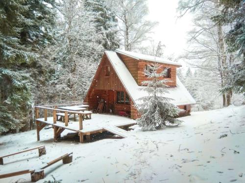 a cabin with a picnic table in the snow at Roztomilá a utulná chata Azzy na samotě v lese. in Valašské Klobouky