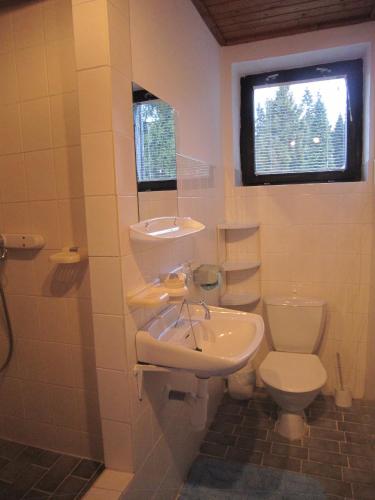 Un baño con lavabo, inodoro y ventana. en Dueto, en Harrachov