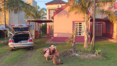 two stuffed animals sitting in the grass in front of a house at LAS MARIAS - CHAJARI in Chajarí