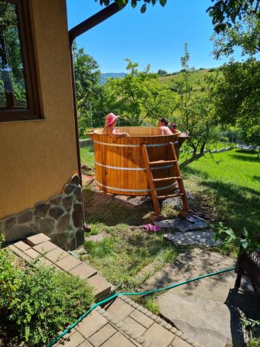 a group of people in a hot tub in a yard at Pensiunea Bogas in Praid