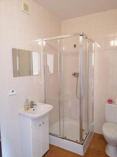a bathroom with a shower and a sink and a toilet at Willa Ostoja in Lublin