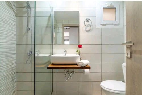 a bathroom with a sink and a mirror and a toilet at The Holiday House 3 in Heraklio Town