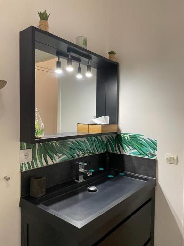 une salle de bain avec un lavabo noir et un miroir dans l'établissement We Loft, à Paris