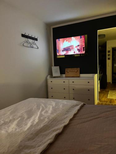 TV a/nebo společenská místnost v ubytování Ferienappartement Paula im Lausitzer Seenland